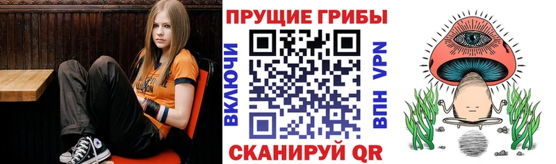 ссылка на мегу   Горячий Ключ  Галлюциногенные грибы мухоморы 